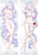 So I M A Spider So What Shiraori Anime Dakimakura Japanese Hugging Body Pillowcover 4299