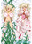 Takumi Makura Fantasy Anime Dakimakura Japanese Pillow Cover 697