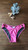 V Ring Swim Bottom V Ring Swim Bottom