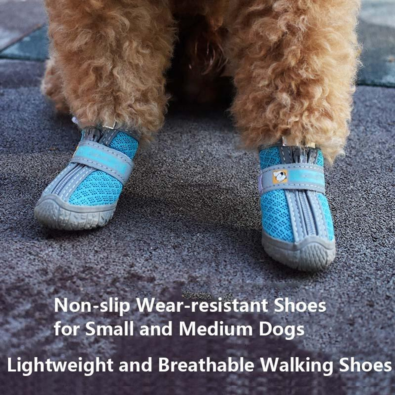 Non slip sale shoes for dogs