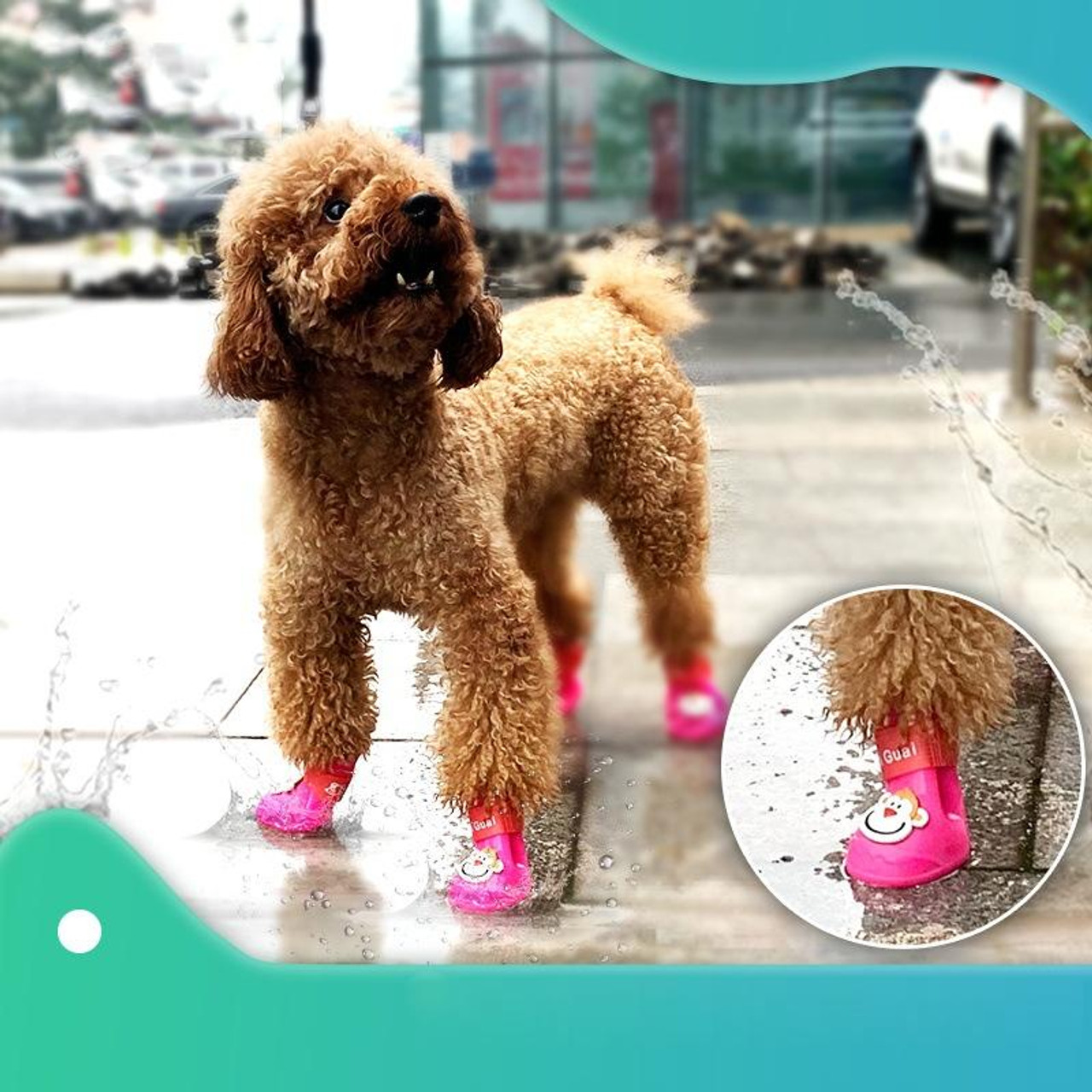 Dog on sale silicone shoes