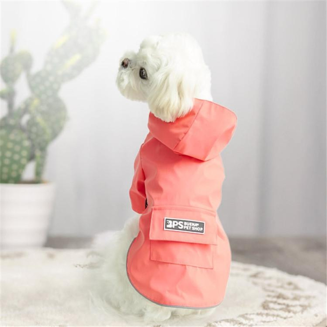 Girl sales dog raincoat