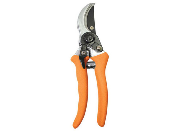 Shear Pruning Fragram