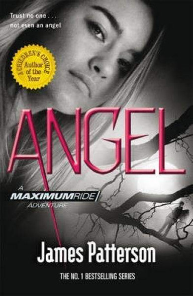 A Maximum Ride - Angel