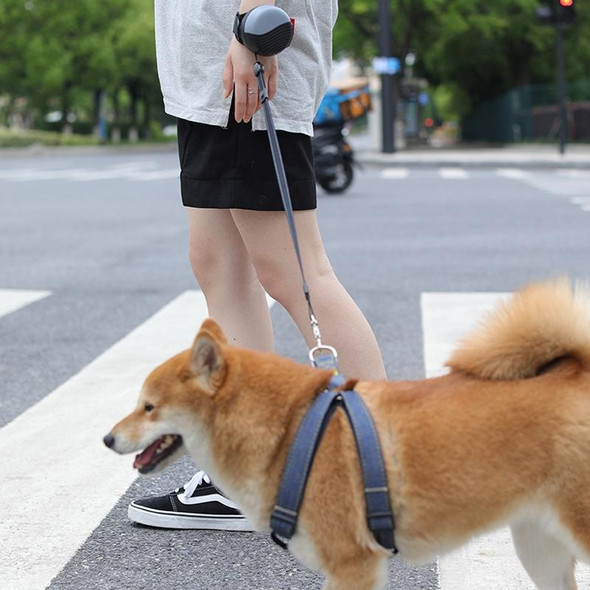 3m Automatic Retractable Wrist-style Pet Nylon Leash(White)