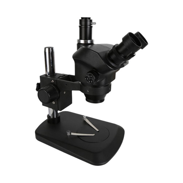 Kaisi 37050 7X-50X Trinocular Microscope with Light