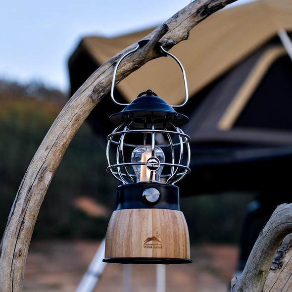 Wild Land Outdoor Camping Lighting Multifunctional LED Retro Portable Atmosphere Light(Black)