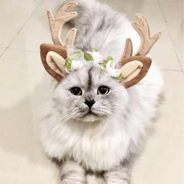 Christmas Pet Accessories Dog Hairpin Cat Ornament Christmas Antler Headband, Size: M