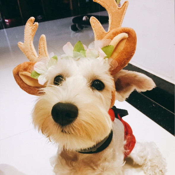 Christmas Pet Accessories Dog Hairpin Cat Ornament Christmas Antler Headband, Size: S