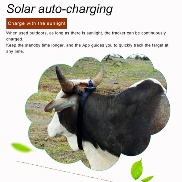 RF-V24 4G Solar GPS Tracking Locator Livestock Tracker with 4G Memory