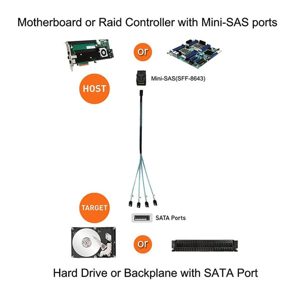 Mini SAS SFF-8643 Host to 7-Pin 4 SATA Target Hard Disk 6Gbps Data Server Raid Cable, Length: 1m