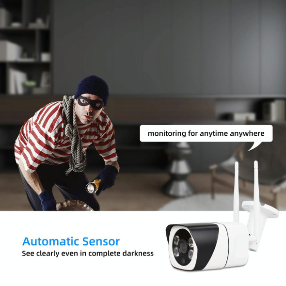 Q29 1080P HD Wireless IP Camera, Support Motion Detection & Infrared Night Vision & TF Card, US Plug