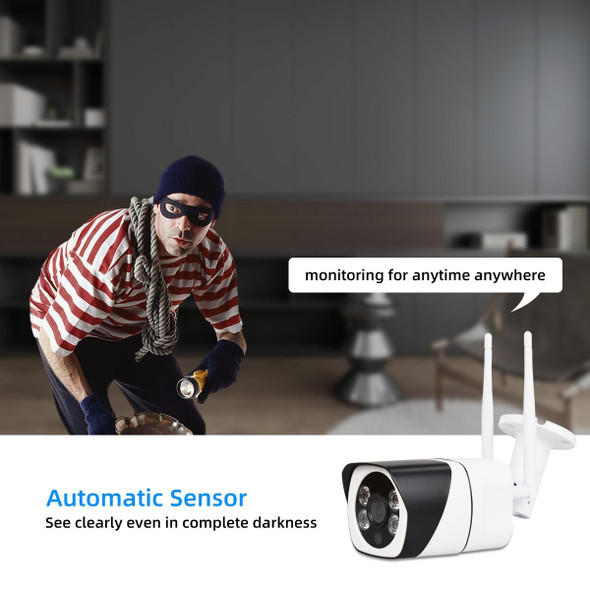 Q29 1080P HD Wireless IP Camera, Support Motion Detection & Infrared Night Vision & TF Card, EU Plug