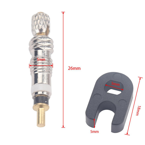 A5500 20 PCS Bicycle French Valve Core with A-type Wrench