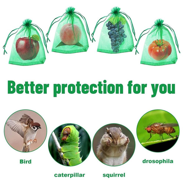 100pcs  Fruit Protection Bag Anti-insect and Anti-bird Net Bag 13 x 18cm(Black)