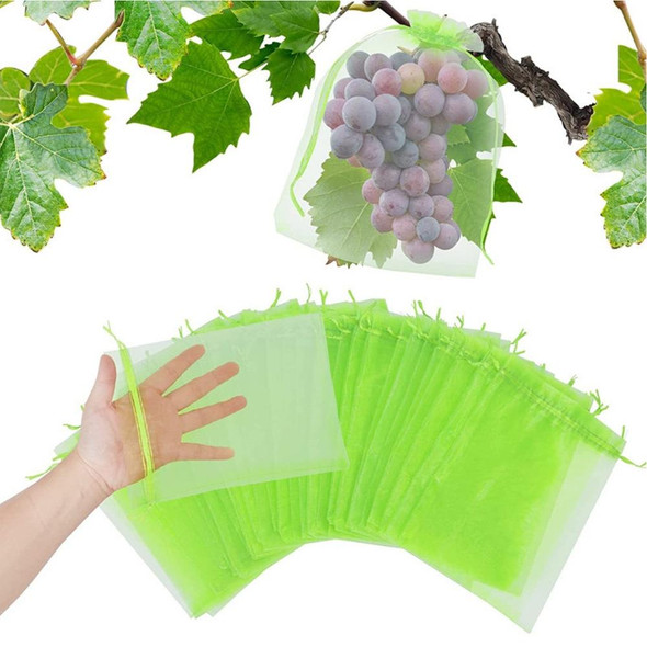 100pcs  Fruit Protection Bag Anti-insect and Anti-bird Net Bag 10 x 15cm(Green)