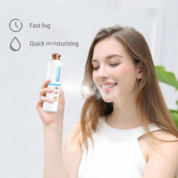 Facial Steamer Nano Spray Water Replenishing Instrument Portable Cold Spray Machine Charging Beauty Instrument Automatic Alcohol Sprayer, Style:Crown(White)