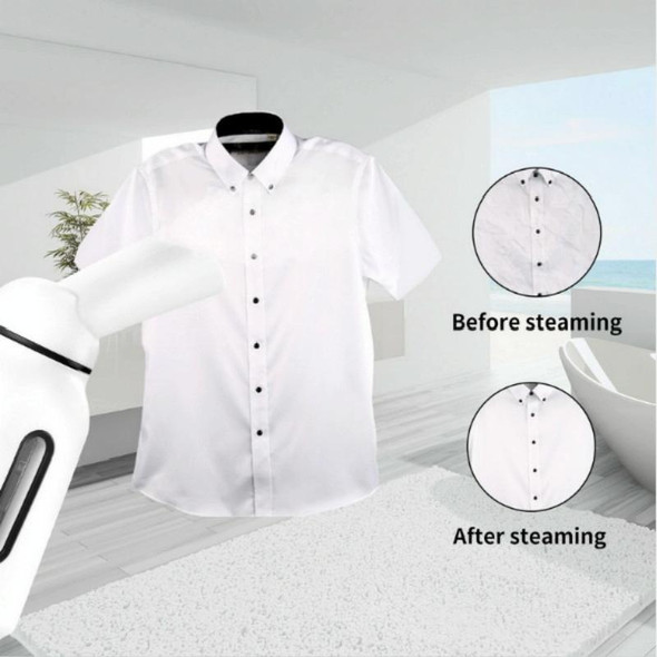 Mini Handheld Hanging Machine Dual-power Steam Brush Iron Garment Steamer(White + Black)