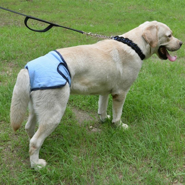 Pet Physiological Pants Large Medium & Small Dogs Anti-Harassment Safety Pants, Size: M(Pink)