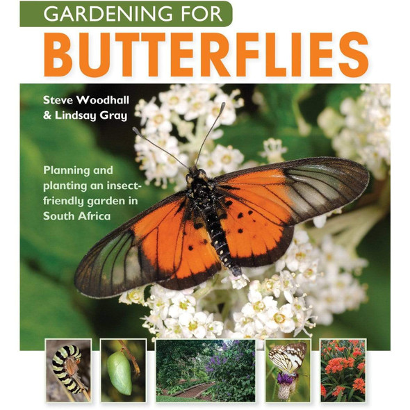 gardening-for-butterflies-snatcher-online-shopping-south-africa-28078818033823.jpg