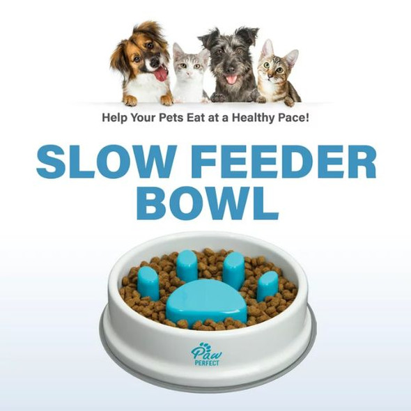 Slow Feeder Bowl
