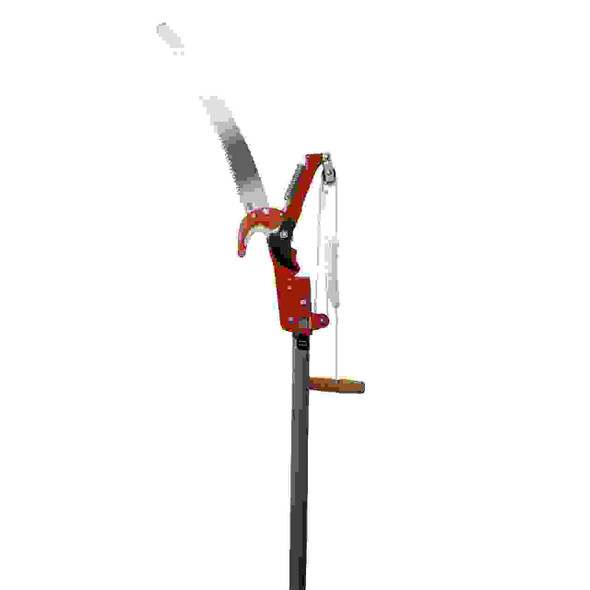 Professional Compound-Action Tree Pruner