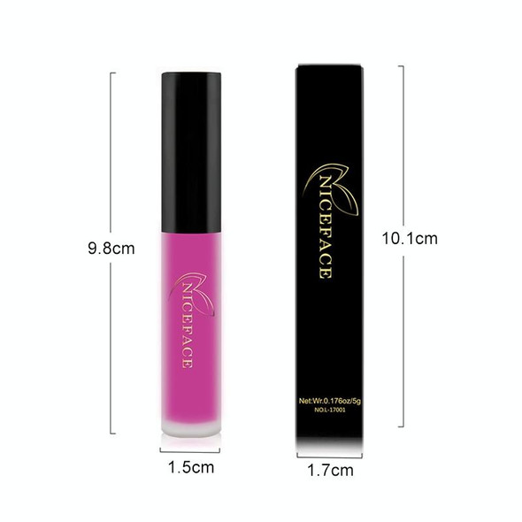 Lip Gloss Nude Matte Liquid Lipstick Waterproof  Long Lasting Moisturizing Lip Makeup Cosmetics(09)