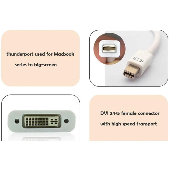 Mini DP to DVI Adapter Converter