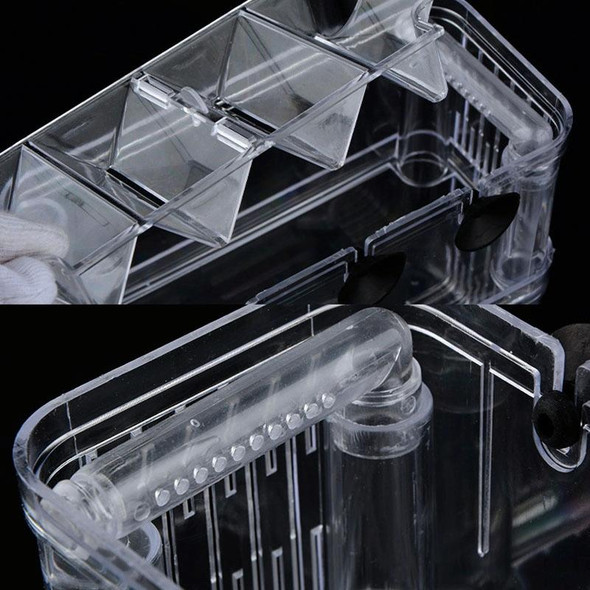 Small Peacock Fish Double Layer Transparent Breeding Isolation Box Aquarium Breeding Box