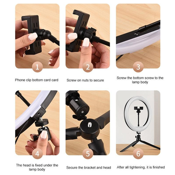 10 inch Adjustable Live Broadcast LED Fill Light Tripod with Phone Clamp