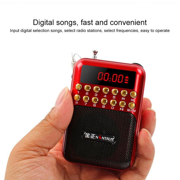 Portable Rechargeable FM Radio Receiver Speaker, Support USB / TF Card / Music MP3 Player(Red)