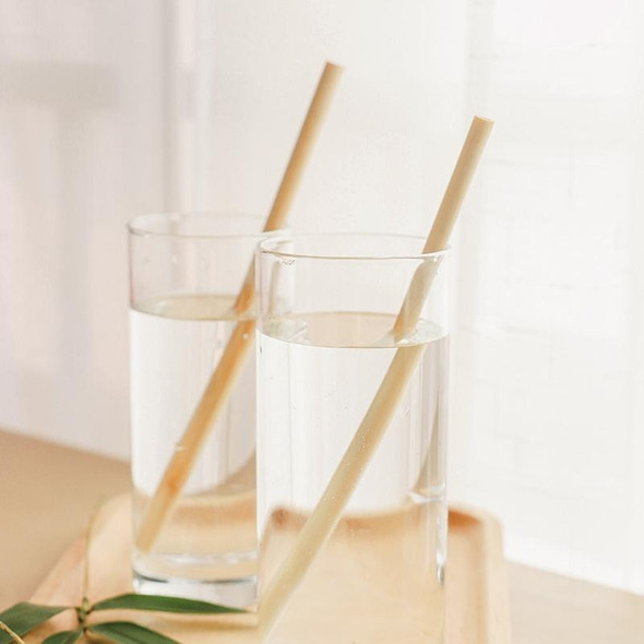10 PCS Juice Coffee Pearl Milk Tea Natural Degradable Bamboo Straw, Style: 20cm Oblique