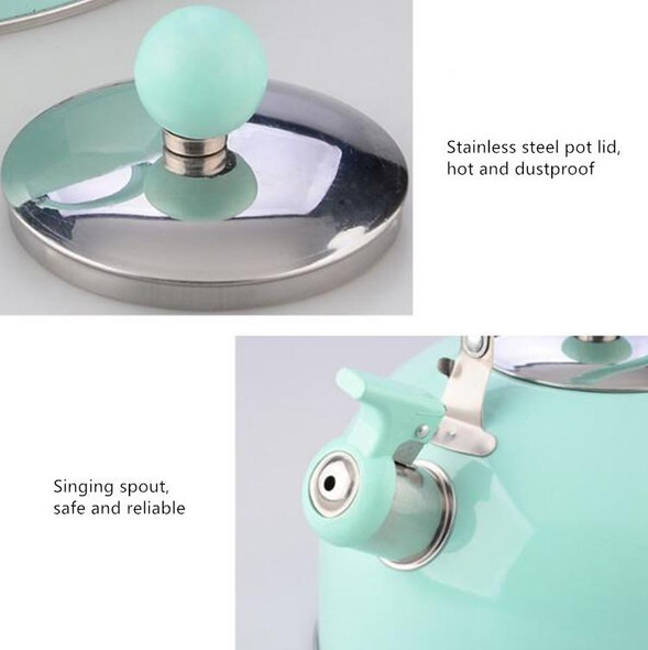 Non Magnetic Thick Stainless Steel Whistle Kettle Dome Whistle Kettle, Color:2.5L natural color