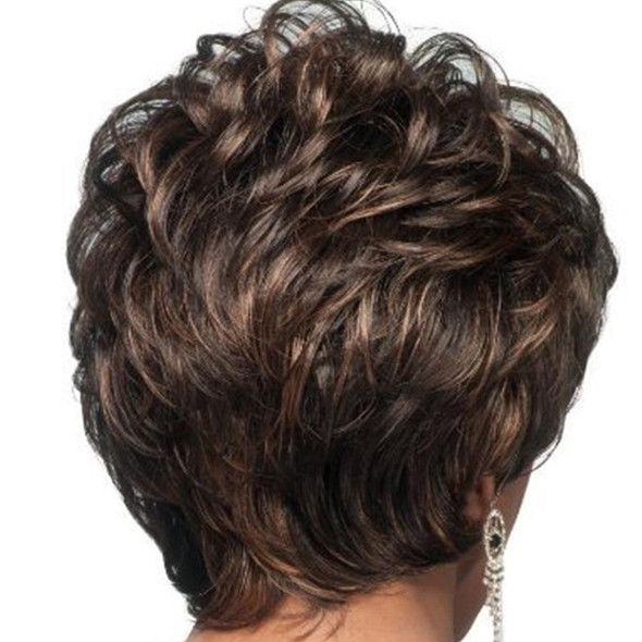 Ladies Oblique Bangs Fluffy Pick Color Wig Short Curly Hair Hood(Black Brown)