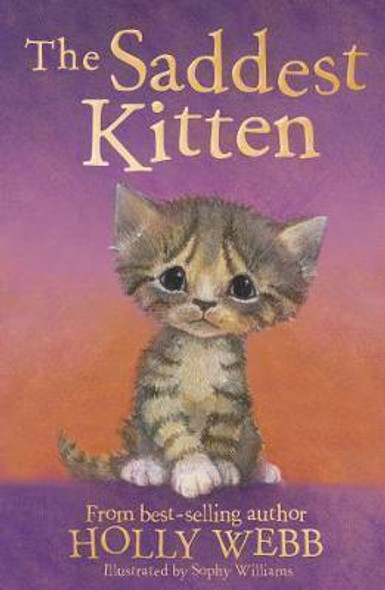 the-saddest-kitten-snatcher-online-shopping-south-africa-29425620353183.jpg