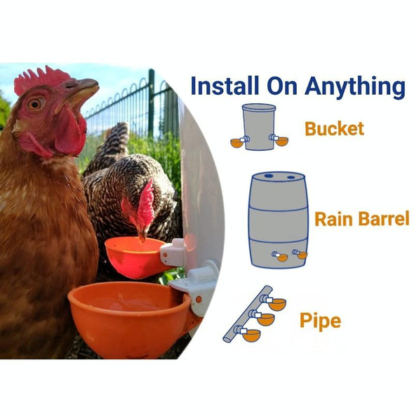 Automatic Chicken Waterer Cups Chicken Water Feeder Random Color