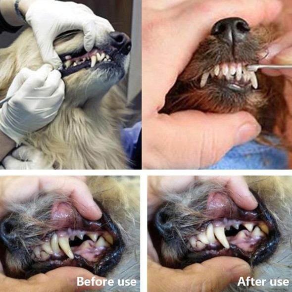 Dog Decalcification Tip Scraper Pet Teeth Cleaning Tool