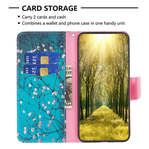 For Tecno Camon 20/Camon 20 Pro 4G Colored Drawing Pattern Leatherette Phone Case(Plum Blossom)