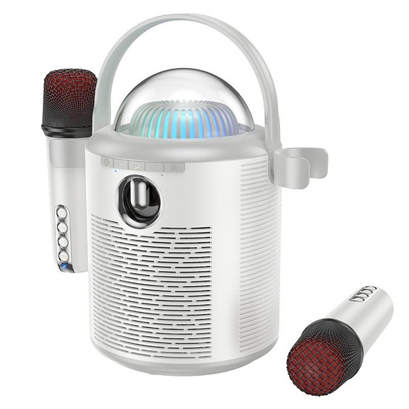 hoco BS59 Pearlescent Wireless Karaoke Bluetooth Speaker with Dual Mic(Grey)