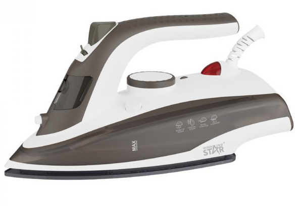 Portable Electric Dry Steam Iron  2200W