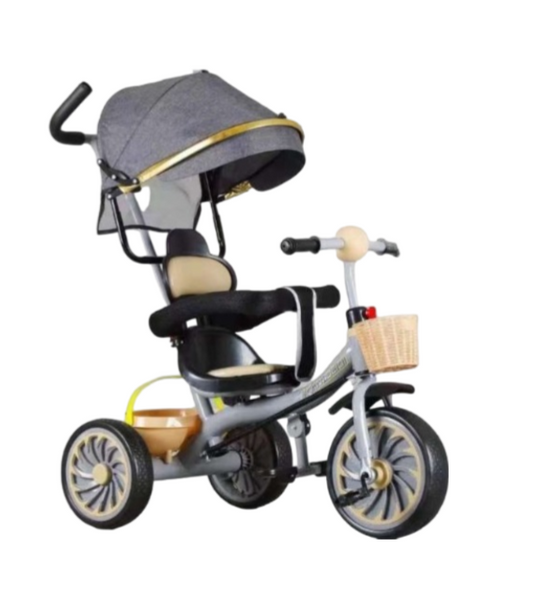 Luxury 4 in 1 Kids Tricycle With Steel Frame