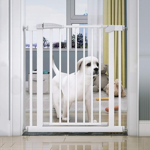 Walk Through Dog Gate