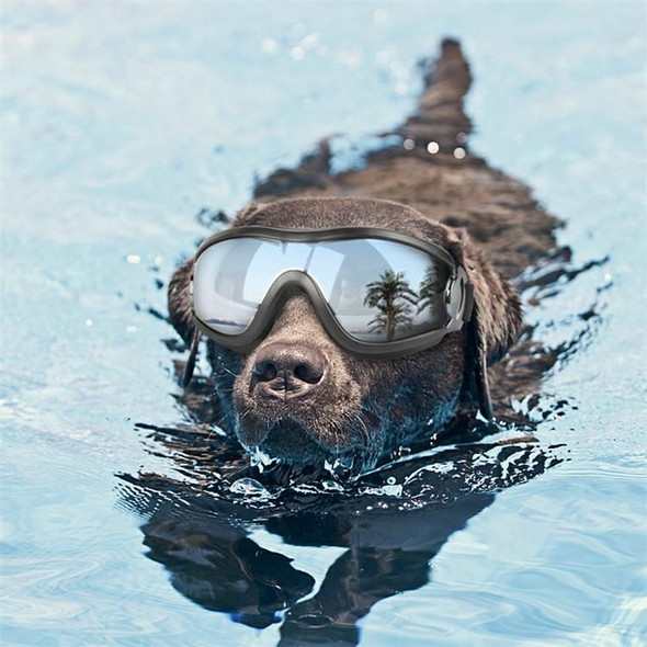 Pet Glasses Big Dog Goggles Waterproof Windproof Sunscreen UV Protection