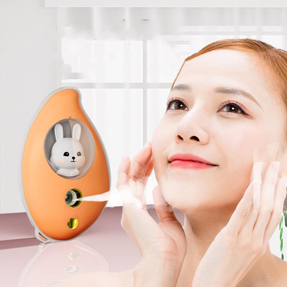 Mango Spray Moisturizing Moisturizer Portable Handheld Facial Beauty Steamer(Orange)