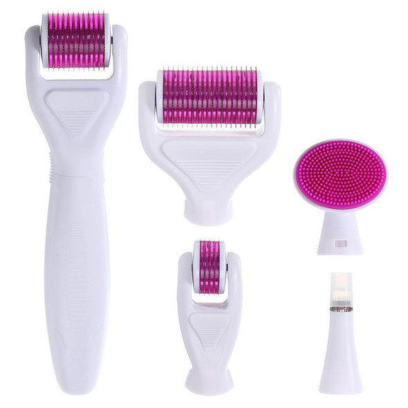 6-in-1-derma-roller-snatcher-online-shopping-south-africa-17784308891807.jpg