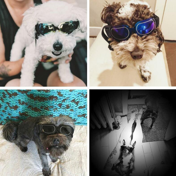 Dog Glasses Sunglasses Pet Glasses(Silver)