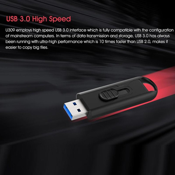 Netac U309 High Speed USB3.0 Push-Pull Encrypted USB Flash Drive, Capacity: 128GB