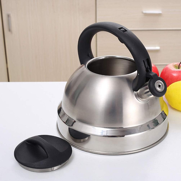 Whistling 3L Kettle