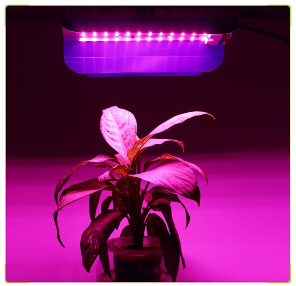 led-plant-grow-light-snatcher-online-shopping-south-africa-28949417427103.jpg