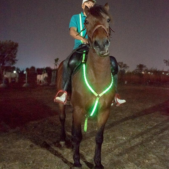 Outdoor Equestrian Equipment LED Light Chest Strap, Specification: Green